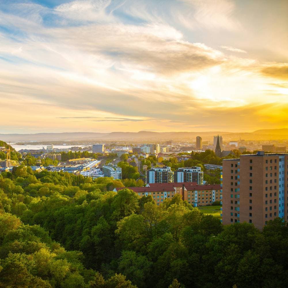 Aerial view of a cityscape at sunset with lush green trees in the foreground and a dramatic sky with scattered clouds.
